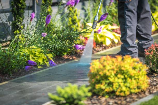 Strathmore, CA  Pressure Washing Services Company